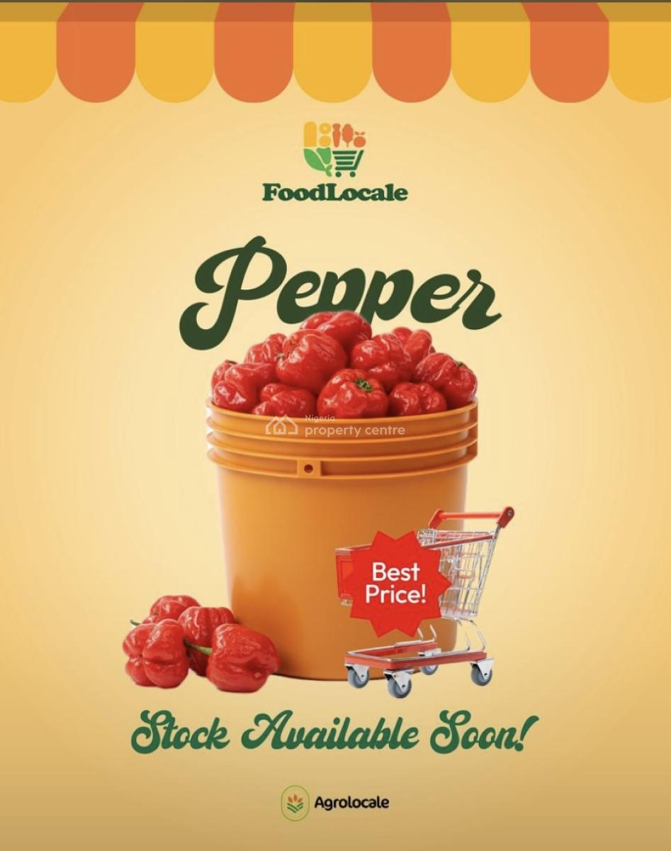 Farmland Available in an Agricultural Allocated Area, Abeokuta North, Ogun, Land for Sale