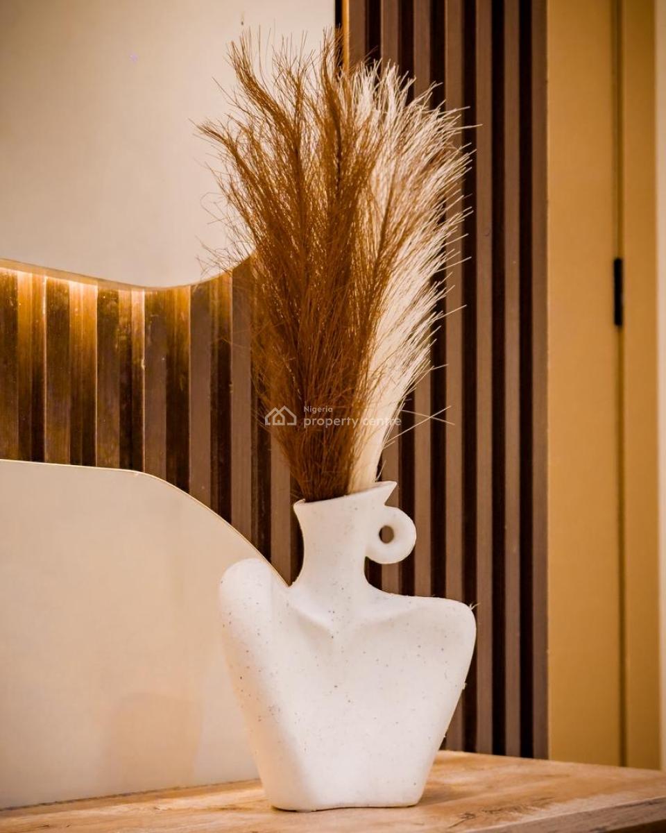 Most Affordable Furnished 1 Bedroom Apartment on The Mainland, Surulere, Lagos, Mini Flat (room and Parlour) for Sale