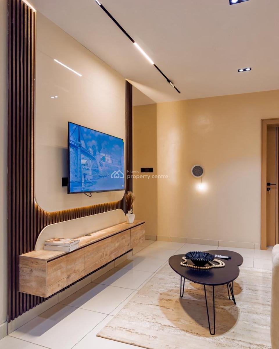 Most Affordable Furnished 1 Bedroom Apartment on The Mainland, Surulere, Lagos, Mini Flat (room and Parlour) for Sale