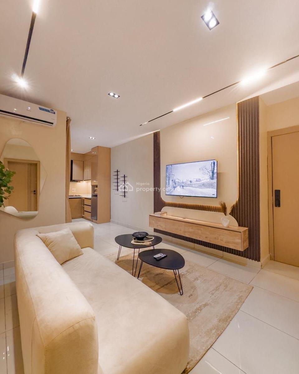 Most Affordable Furnished 1 Bedroom Apartment on The Mainland, Surulere, Lagos, Mini Flat (room and Parlour) for Sale