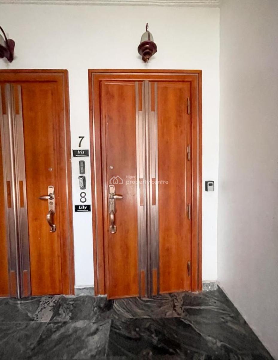 Fully Furnished 2 Bedroom Apartment with Excellent Facilities, Ikate, Lekki, Lekki, Lagos, Flat / Apartment for Rent