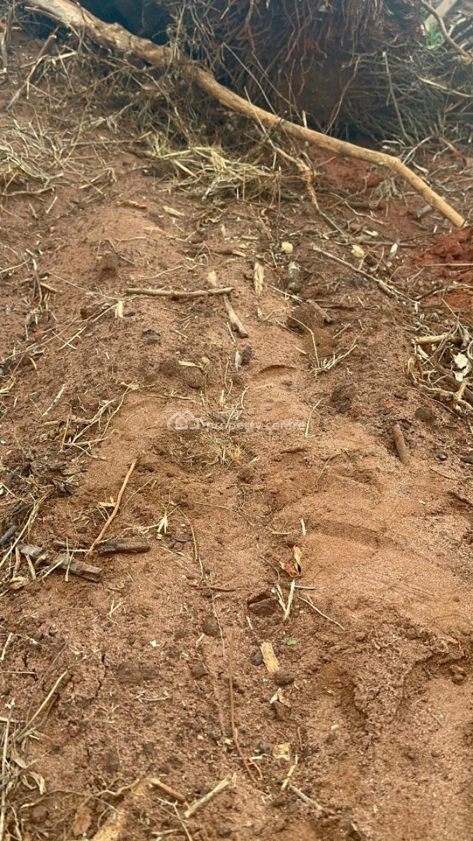 Government Allocation C of O, Mowe Ofada, Ogun, Residential Land for Sale