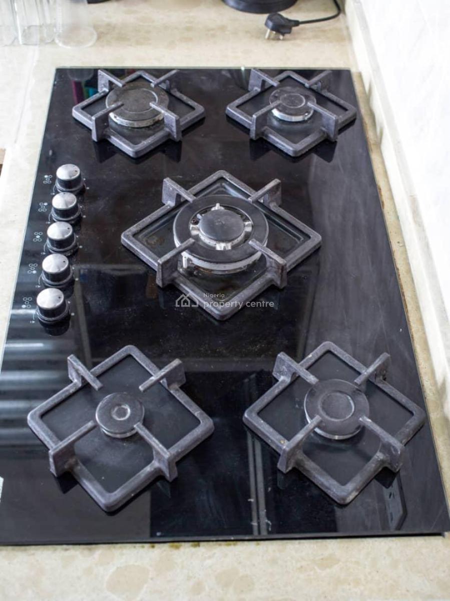 Luxury 2 Bedroom Apartment with Excellent Facilities, Conservative Road, Lekki, Lagos, Flat / Apartment for Rent