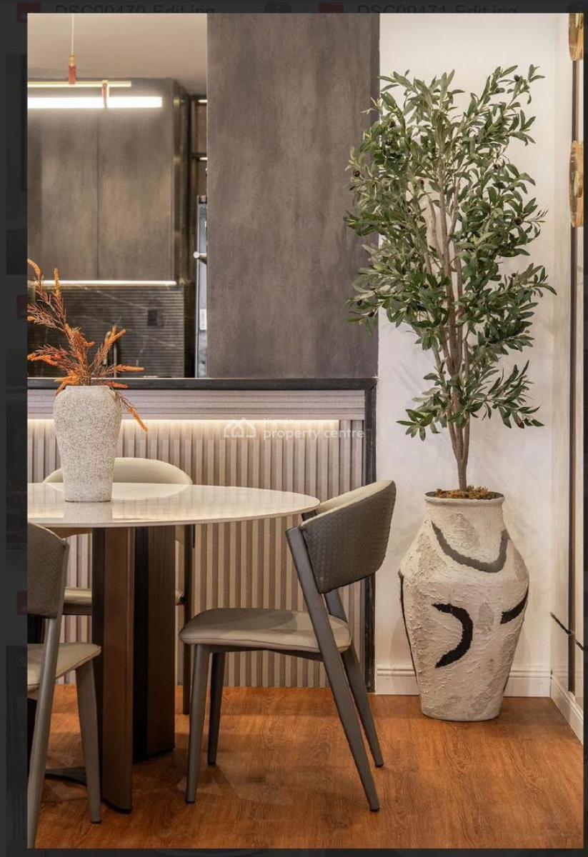 Luxuriously Furnished 2 Bedroom Apartment, Ikate, Lekki, Lagos, Flat / Apartment for Rent