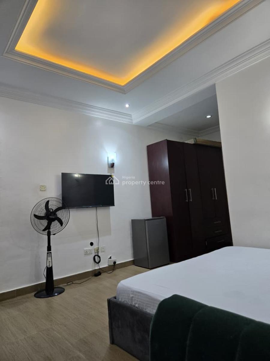 Fully Furnished  2 Bedroom  Flat, Amino Kano Wuse 2, Wuse 2, Abuja, Flat / Apartment for Rent