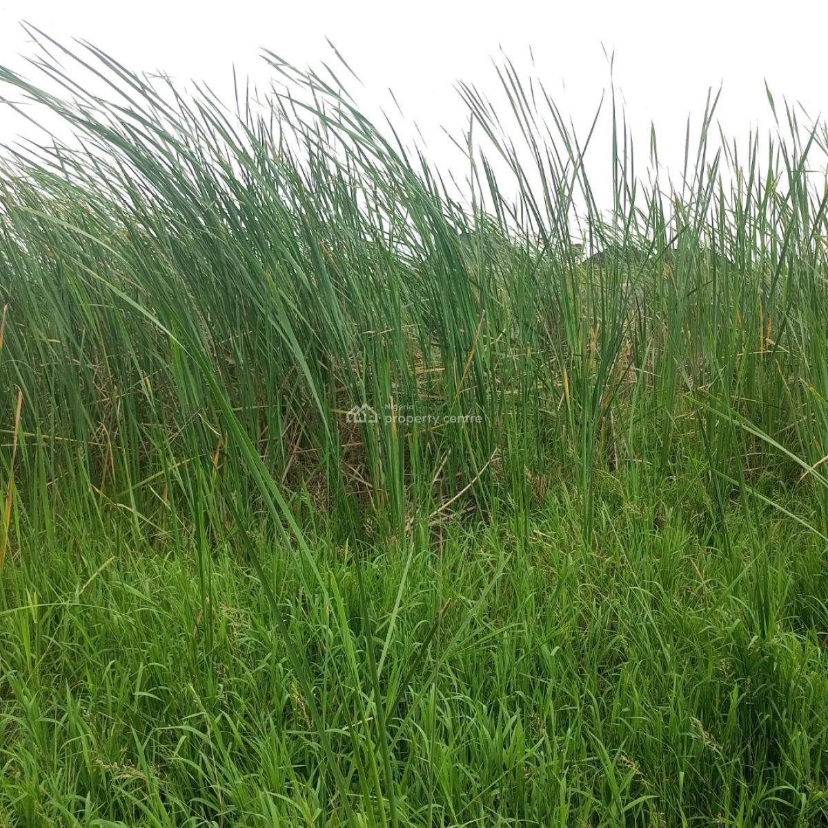 a Full Plot of Land at a Call to Access Estate, Silverpoint Estate Badore Ajah-lekki, Badore, Ajah, Lagos, Residential Land for Sale