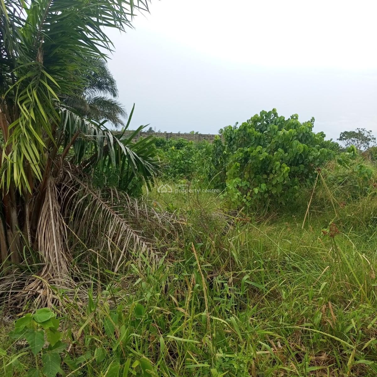 a Full Plot of Land at a Call to Access Estate, Silverpoint Estate Badore Ajah-lekki, Badore, Ajah, Lagos, Residential Land for Sale