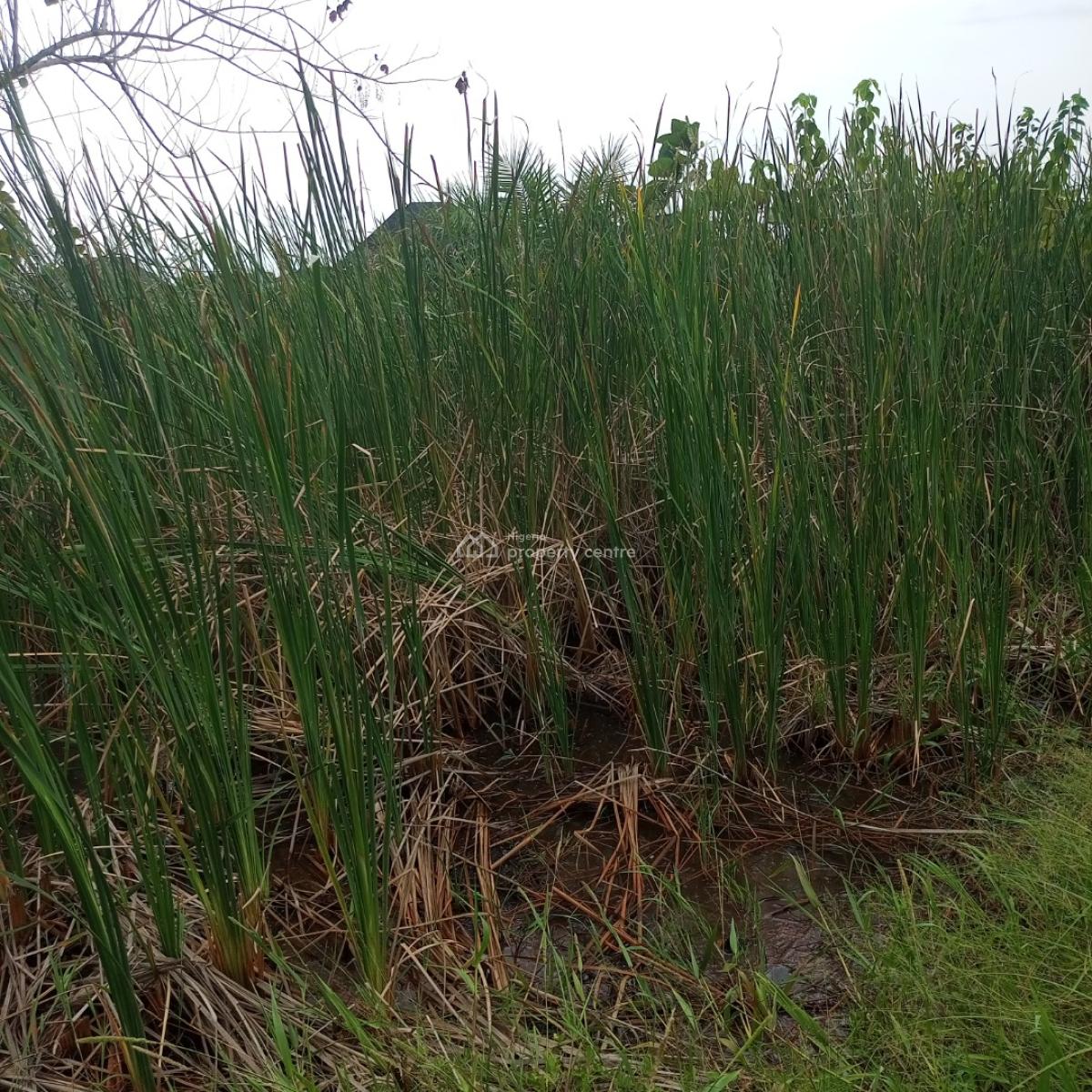 a Full Plot of Land at a Call to Access Estate, Silverpoint Estate Badore Ajah-lekki, Badore, Ajah, Lagos, Residential Land for Sale