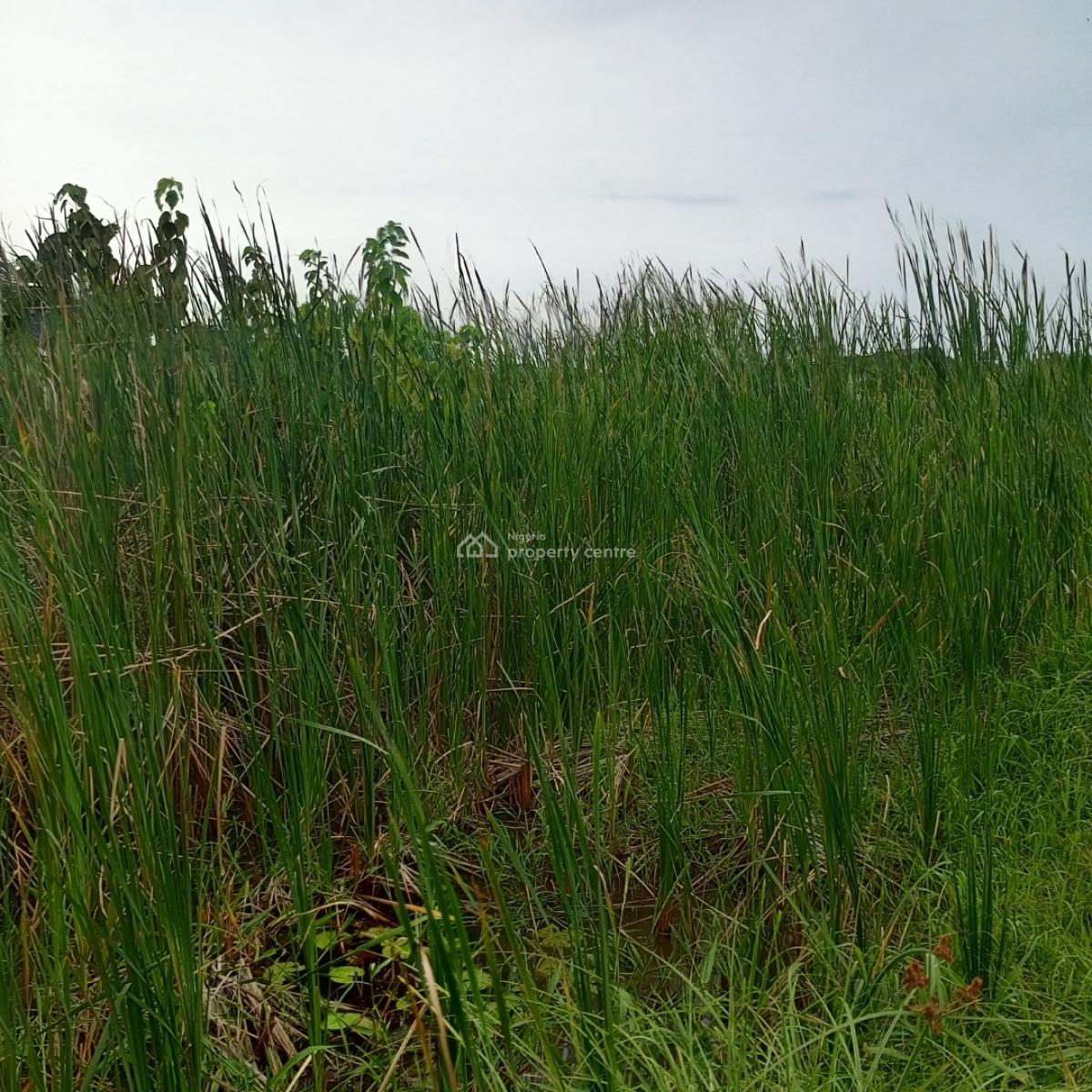 a Full Plot of Land at a Call to Access Estate, Silverpoint Estate Badore Ajah-lekki, Badore, Ajah, Lagos, Residential Land for Sale