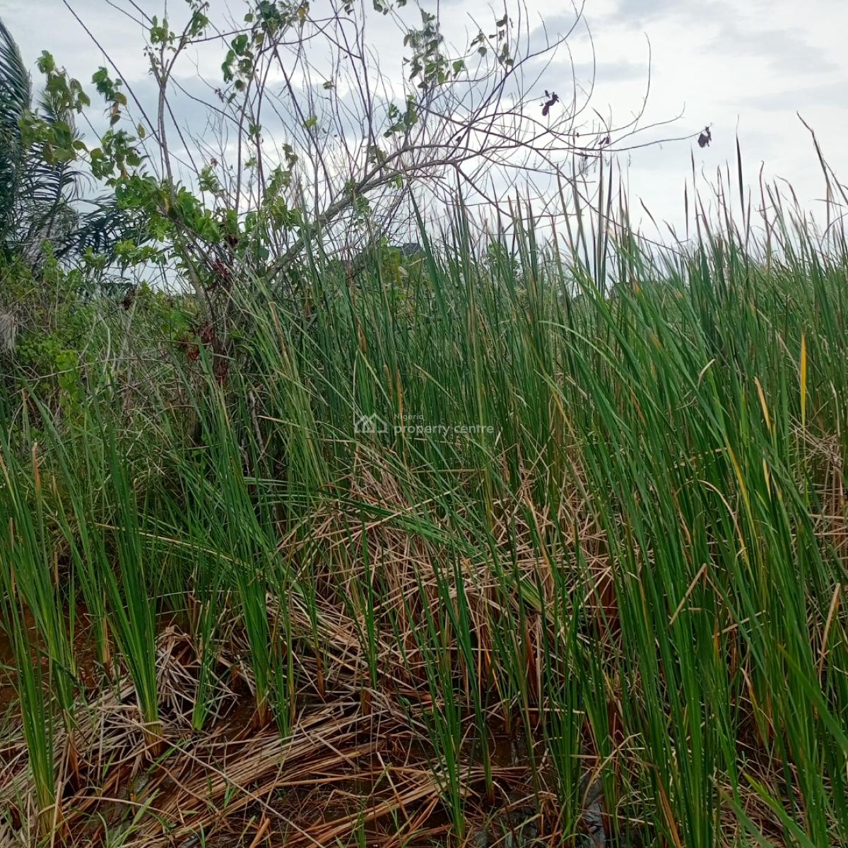 a Full Plot of Land at a Call to Access Estate, Silverpoint Estate Badore Ajah-lekki, Badore, Ajah, Lagos, Residential Land for Sale