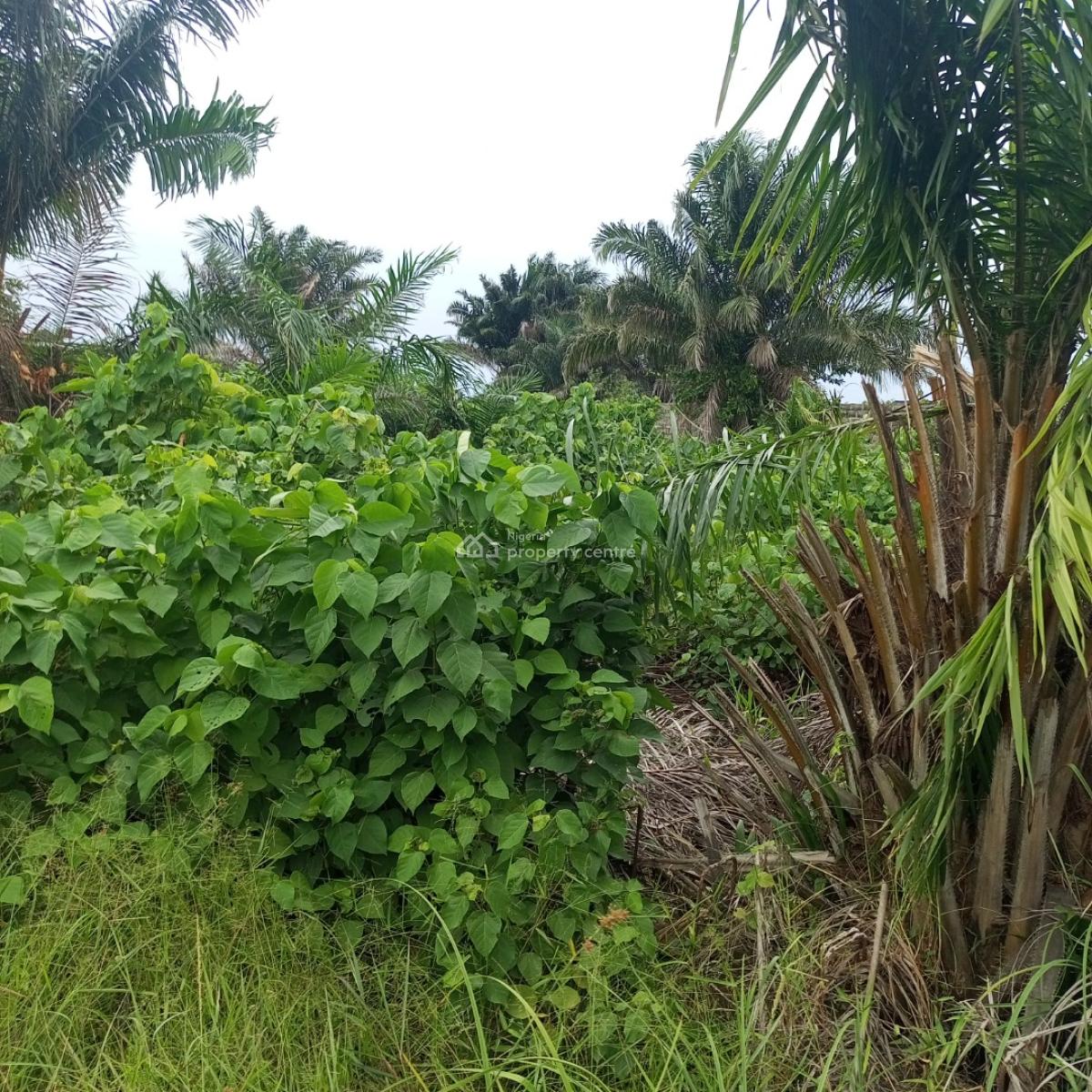 a Full Plot of Land at a Call to Access Estate, Silverpoint Estate Badore Ajah-lekki, Badore, Ajah, Lagos, Residential Land for Sale