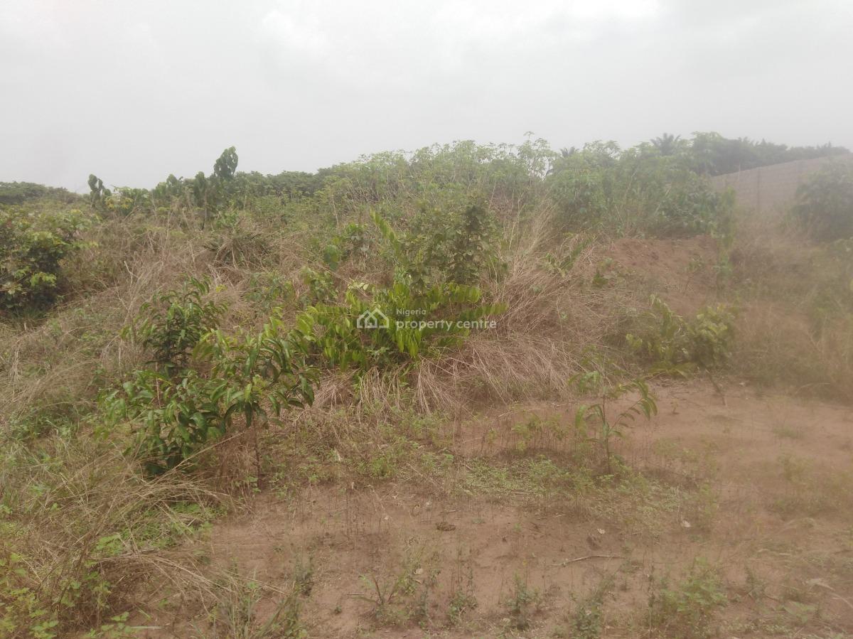 a Prime Plot of Land, Avu, Owerri West, Imo, Mixed-use Land for Sale