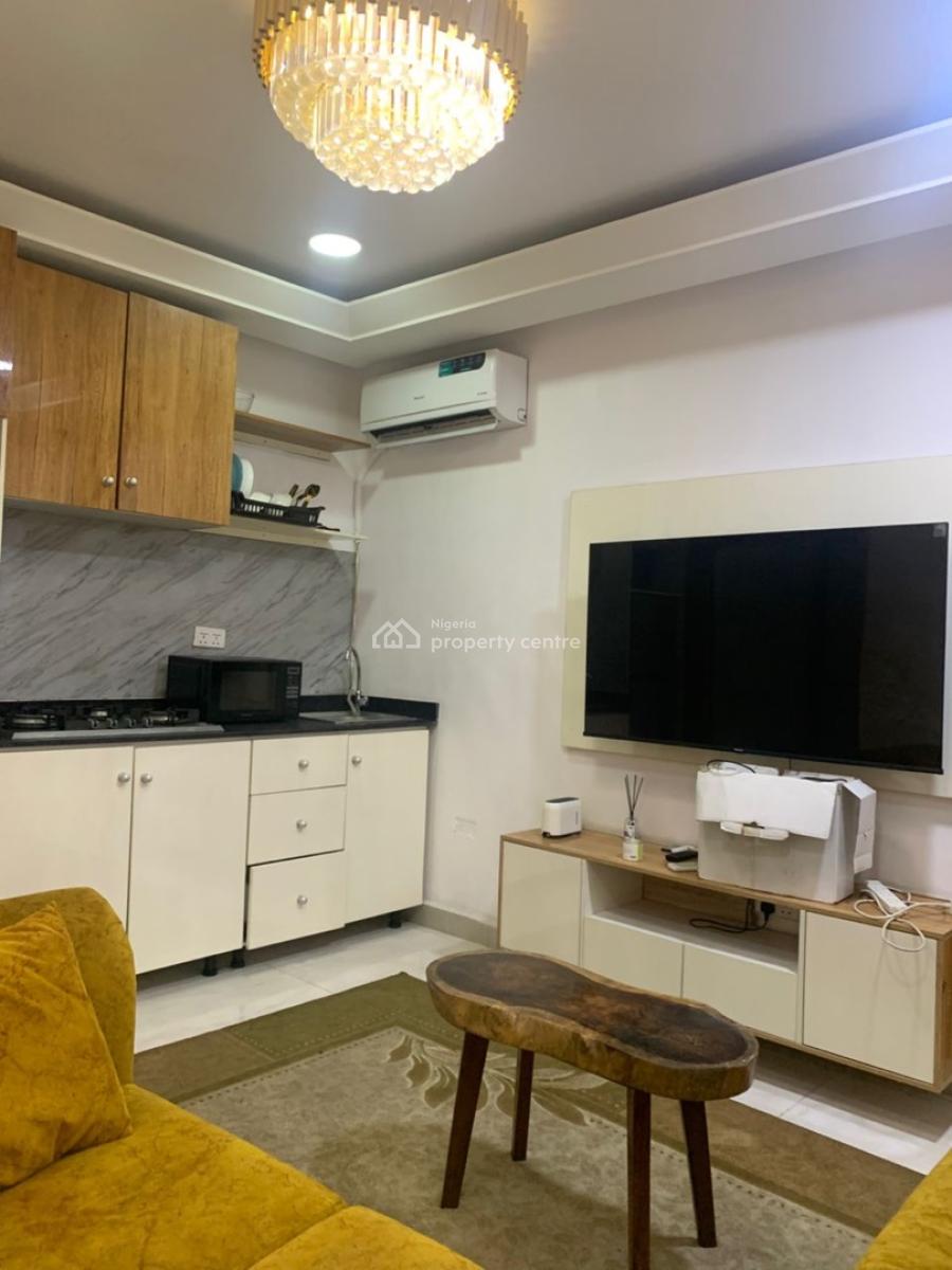 Fully Furnished 1 Bedroom Flat, Off Oriwu Street, Lekki Phase One, Lekki, Lagos, Mini Flat (room and Parlour) for Rent