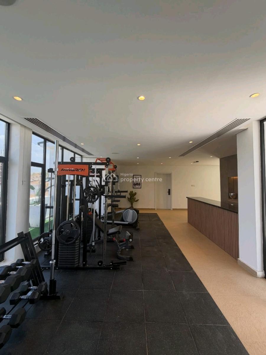 Experience Premium Living in This Newly Built and Spacious 4-bedroom T, Maitama District, Abuja, House for Rent