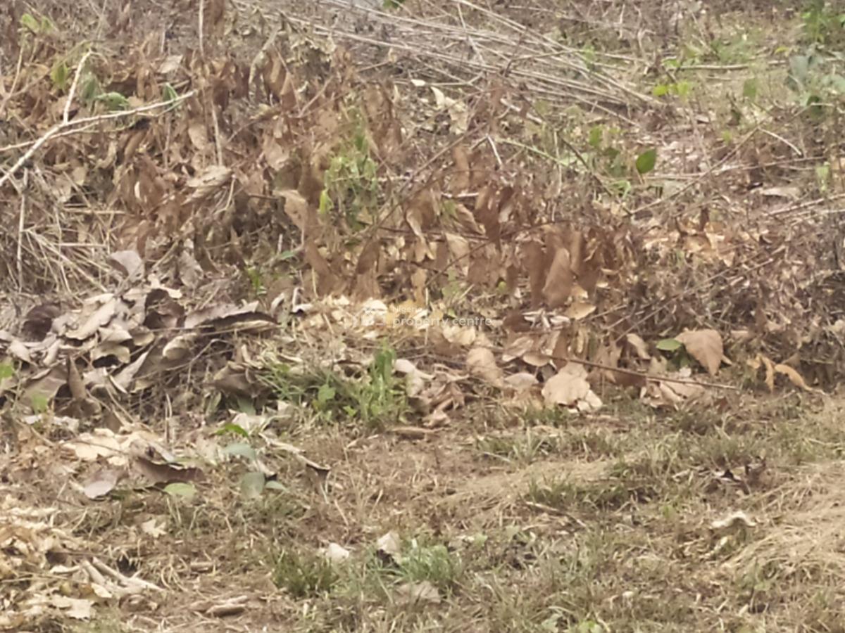 Affordable Land, Ikorodu Gardens, Imota, Ikorodu, Lagos, Residential Land for Sale