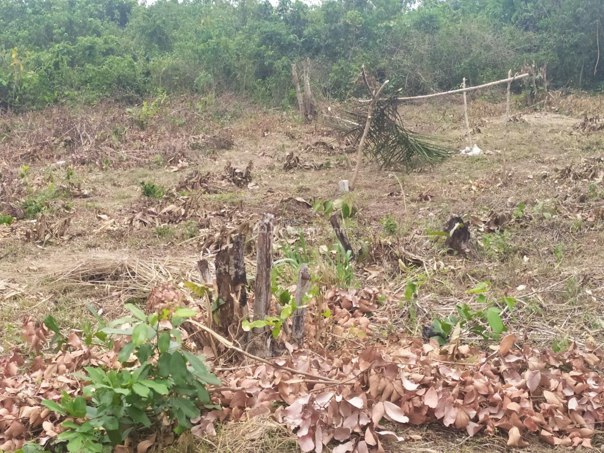 Affordable Land, Ikorodu Gardens, Imota, Ikorodu, Lagos, Residential Land for Sale