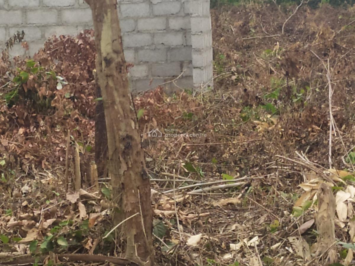 Affordable Land, Ikorodu Gardens, Imota, Ikorodu, Lagos, Residential Land for Sale