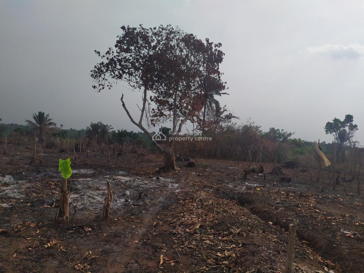 Residential Plots of Land, Imota, Ikorodu, Lagos, Residential Land for Sale