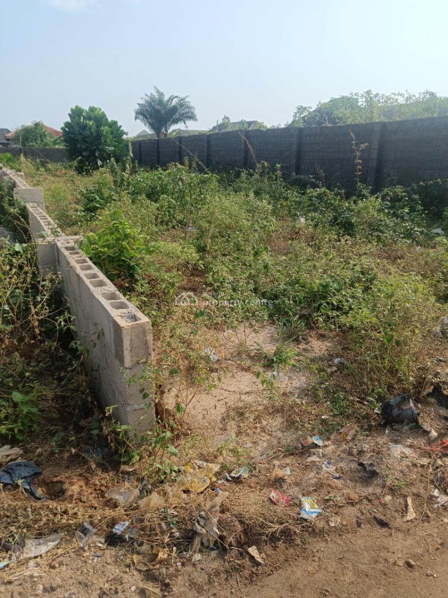 Half Plot of Land with a Good Road Networking, Oreyo, Igbogbo, Ikorodu, Lagos, Mixed-use Land for Sale