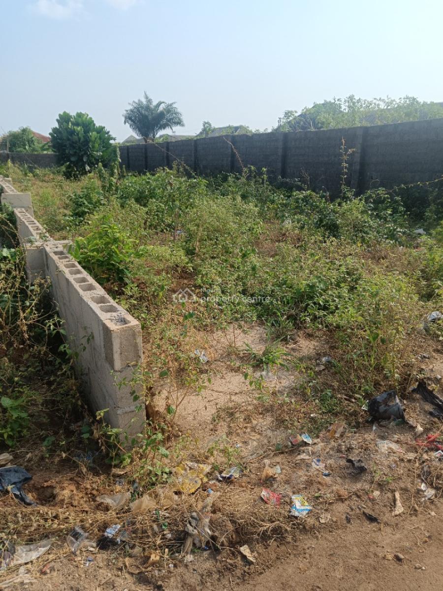 Half Plot of Land with a Good Road Networking, Oreyo, Igbogbo, Ikorodu, Lagos, Mixed-use Land for Sale