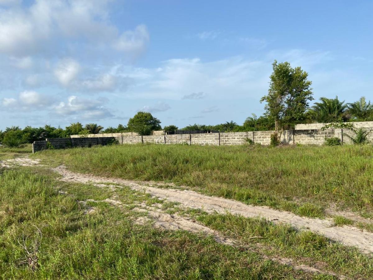 100% Genuine Plots. Title: Cofo. Buy and Build. Instant Allocation., B Olorunpelu, By Beachwood Estate. 20 Mins Drive From Ajah, Bogije, Ibeju Lekki, Lagos, Mixed-use Land for Sale