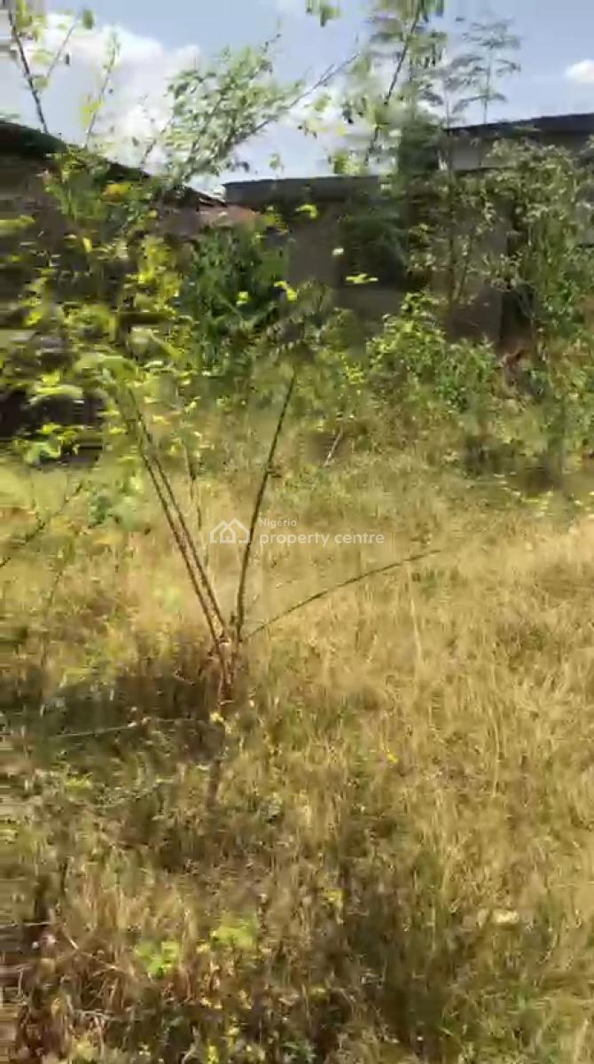 2 Plots of Land Inside a Well Secured Estate, Off Amusan Road, New Oko Oba, Abule Egba, Agege, Lagos, Mixed-use Land for Sale