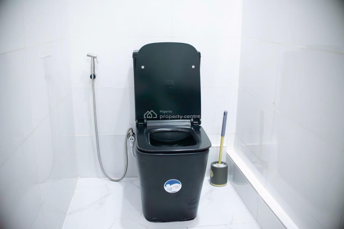 Furnished 1 Bedroom Flat, Dr Adewale Oshin Street, Lekki Phase 1, Lekki, Lagos, Mini Flat (room and Parlour) for Rent