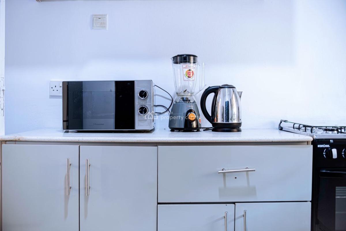 Furnished 1 Bedroom Flat, Dr Adewale Oshin Street, Lekki Phase 1, Lekki, Lagos, Mini Flat (room and Parlour) for Rent