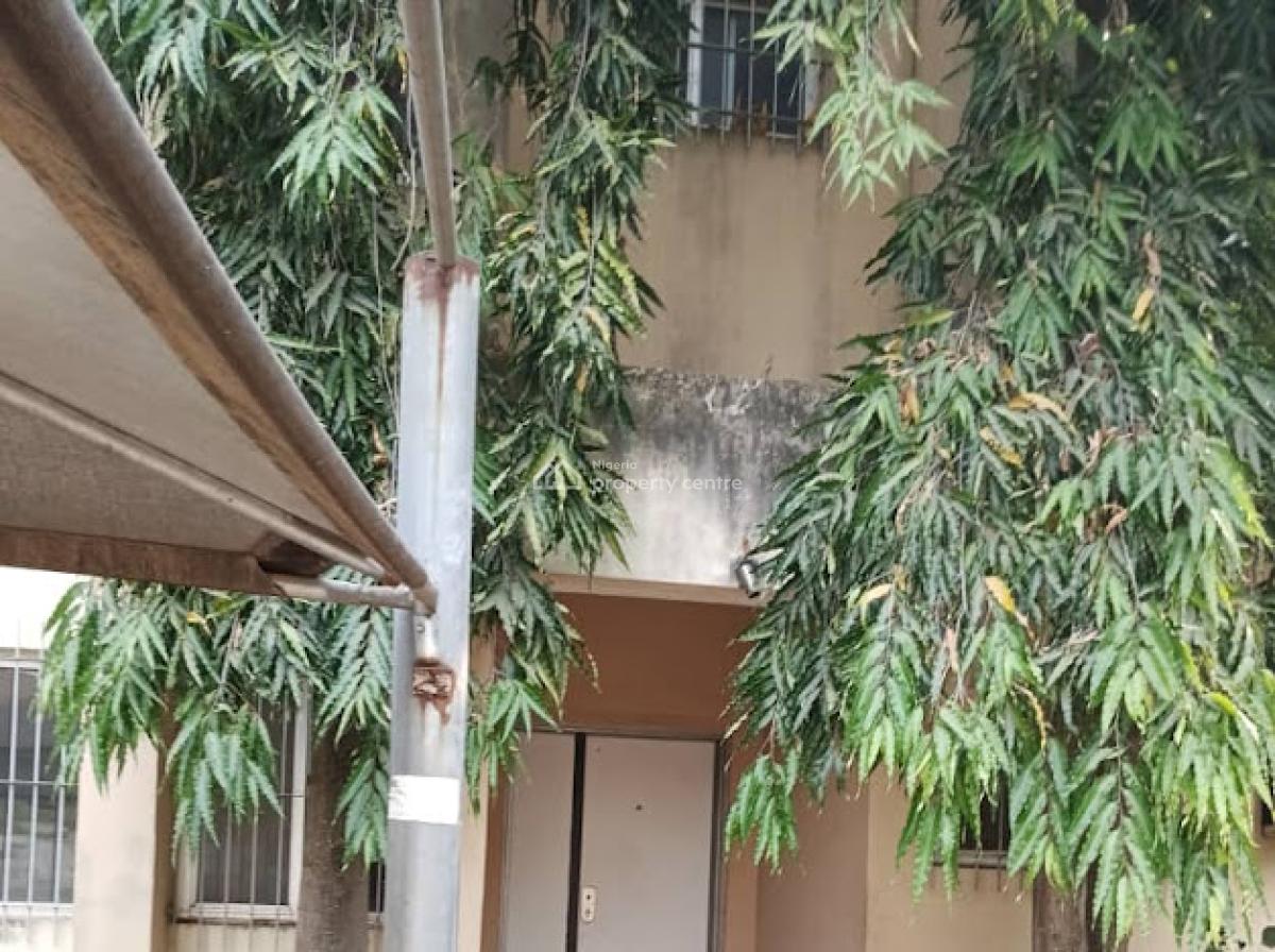 Luxury 6 Bedroom Fully Detached Duplex + Bq, Maitama District, Abuja, Detached Duplex for Rent