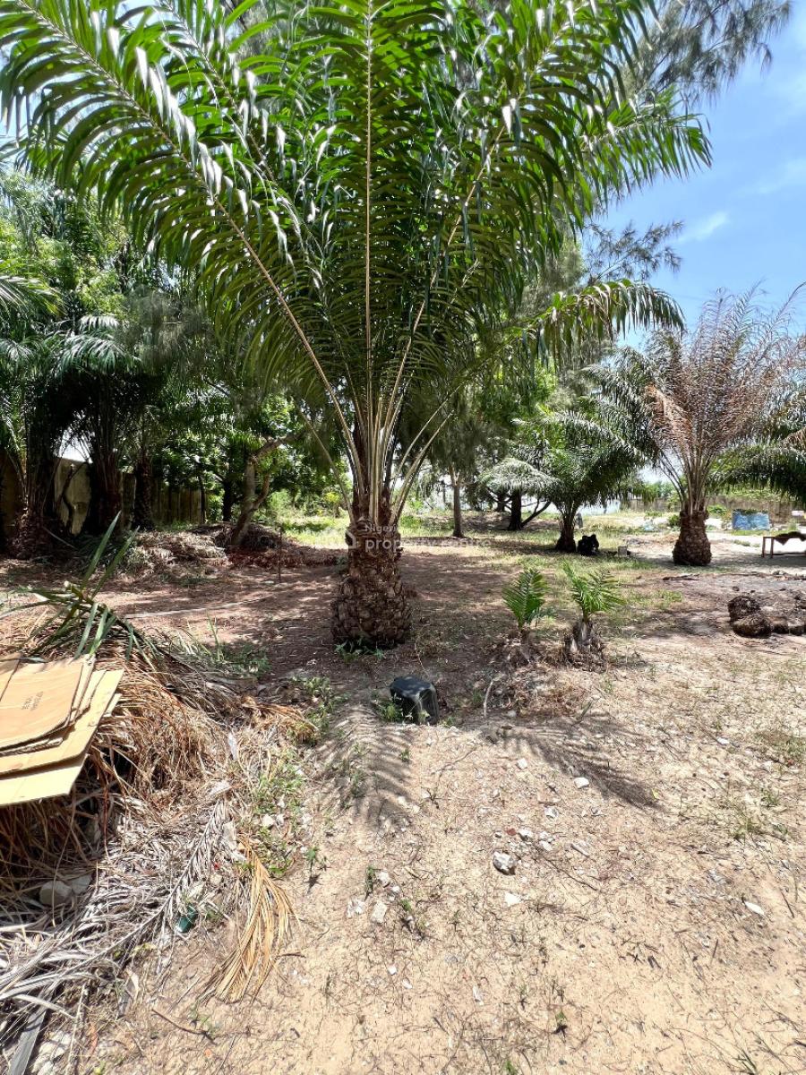 Dry Corner Piece of Land  in Banana Island., Residential and Mixed Use, Banana Island, Ikoyi, Lagos, Mixed-use Land for Sale