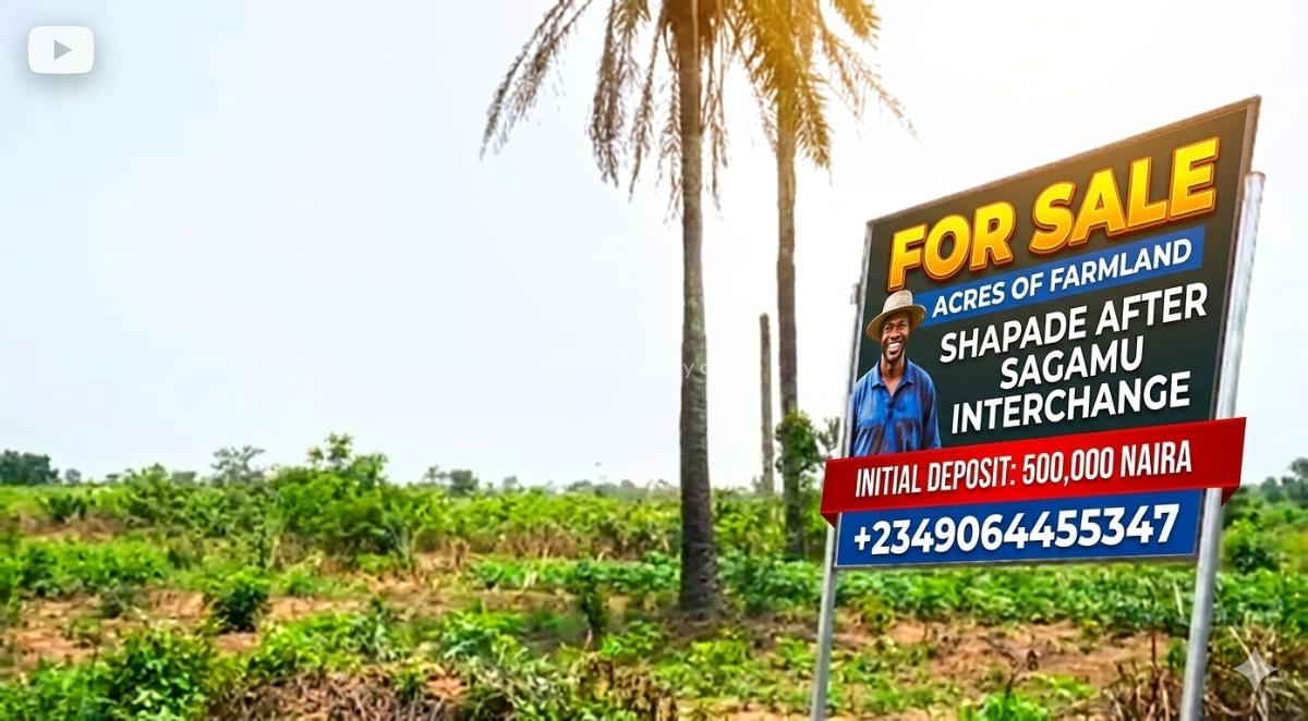 Acres and Hectares of Farmland in Shapade After Sagamu Interchange, Shapade After Sagamu Interchange, Remo North, Ogun, Land for Sale
