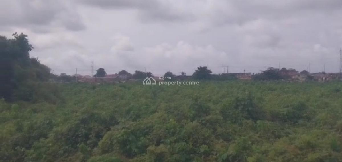 Buy and Build Land, Buffer Zone By 2nd Avenue, Festac, Amuwo Odofin, Lagos, Land for Sale