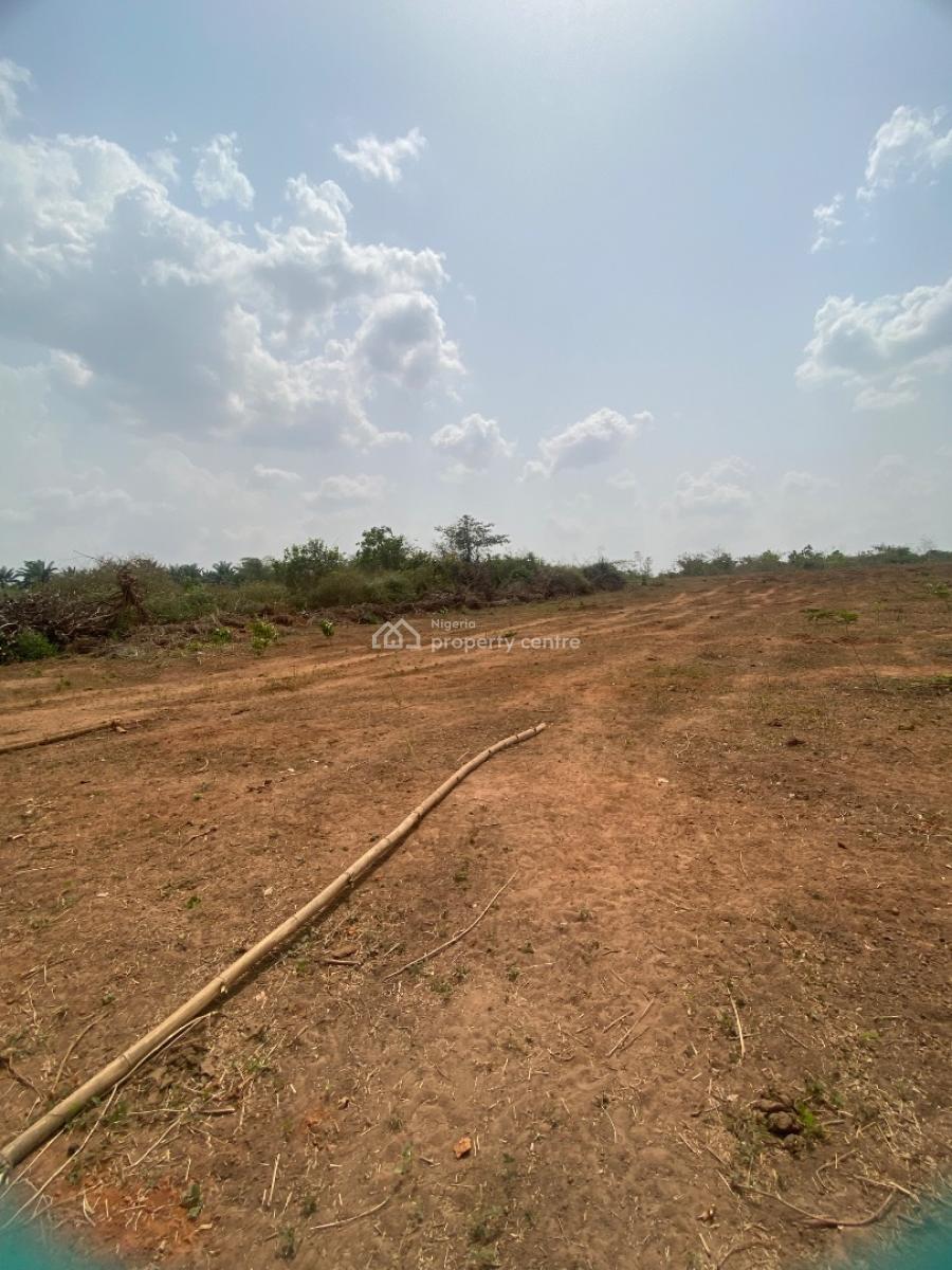 Own Fertile Farmland and Start Earning From Agriculture Today, Abeokuta South, Ogun, Land for Sale