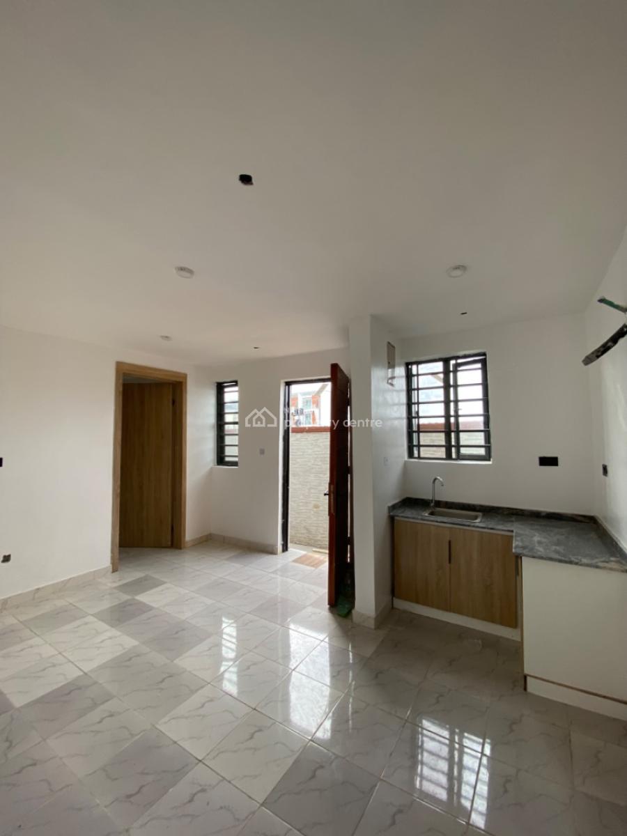 2 Bedroom Apartment, Ikate, Ikate, Lekki, Lagos, Flat / Apartment for Rent