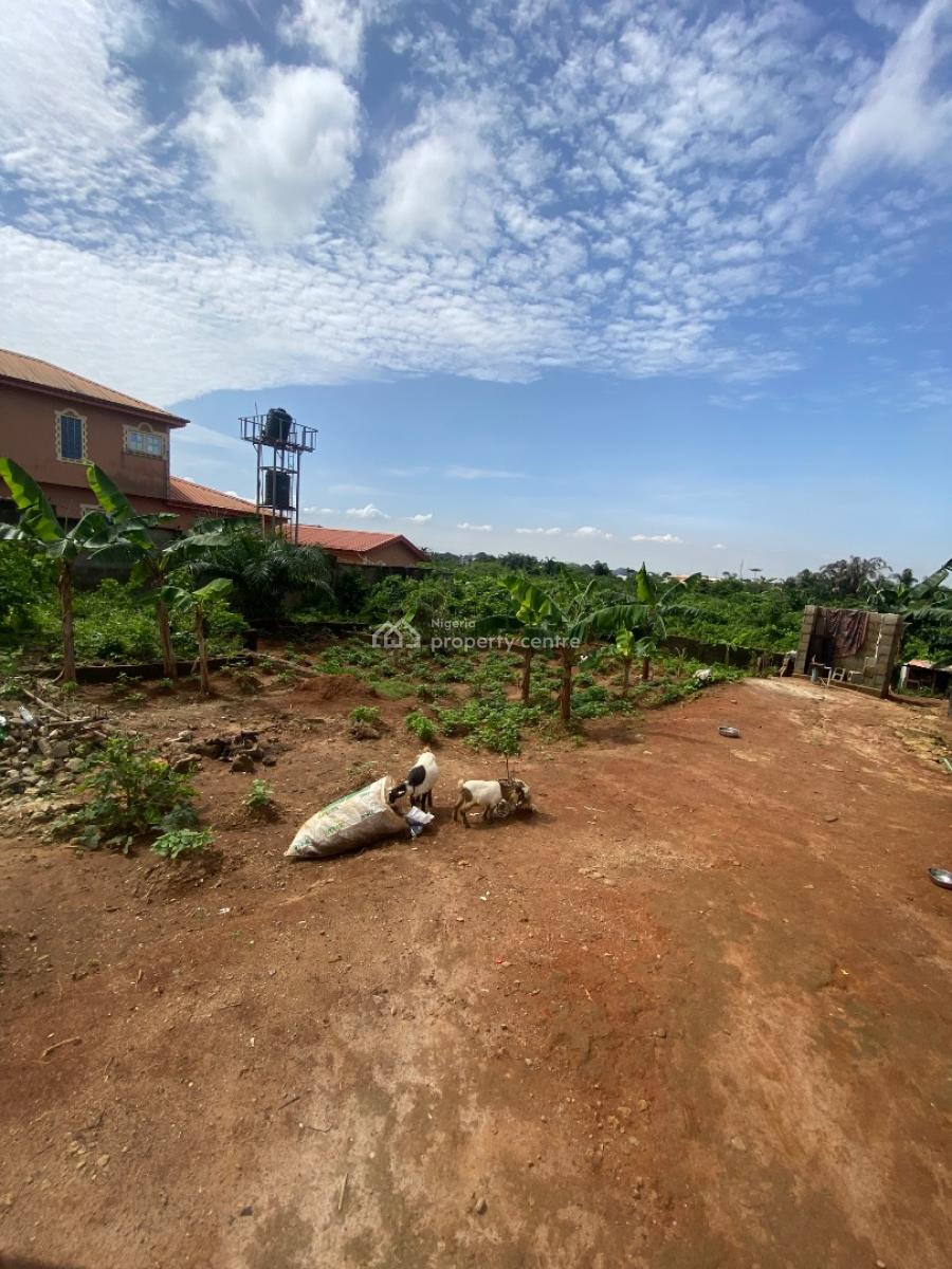 Cheap & Genuine Full Plot Verified & Ready for De, Igbogbo, Ikorodu, Lagos, Land for Sale