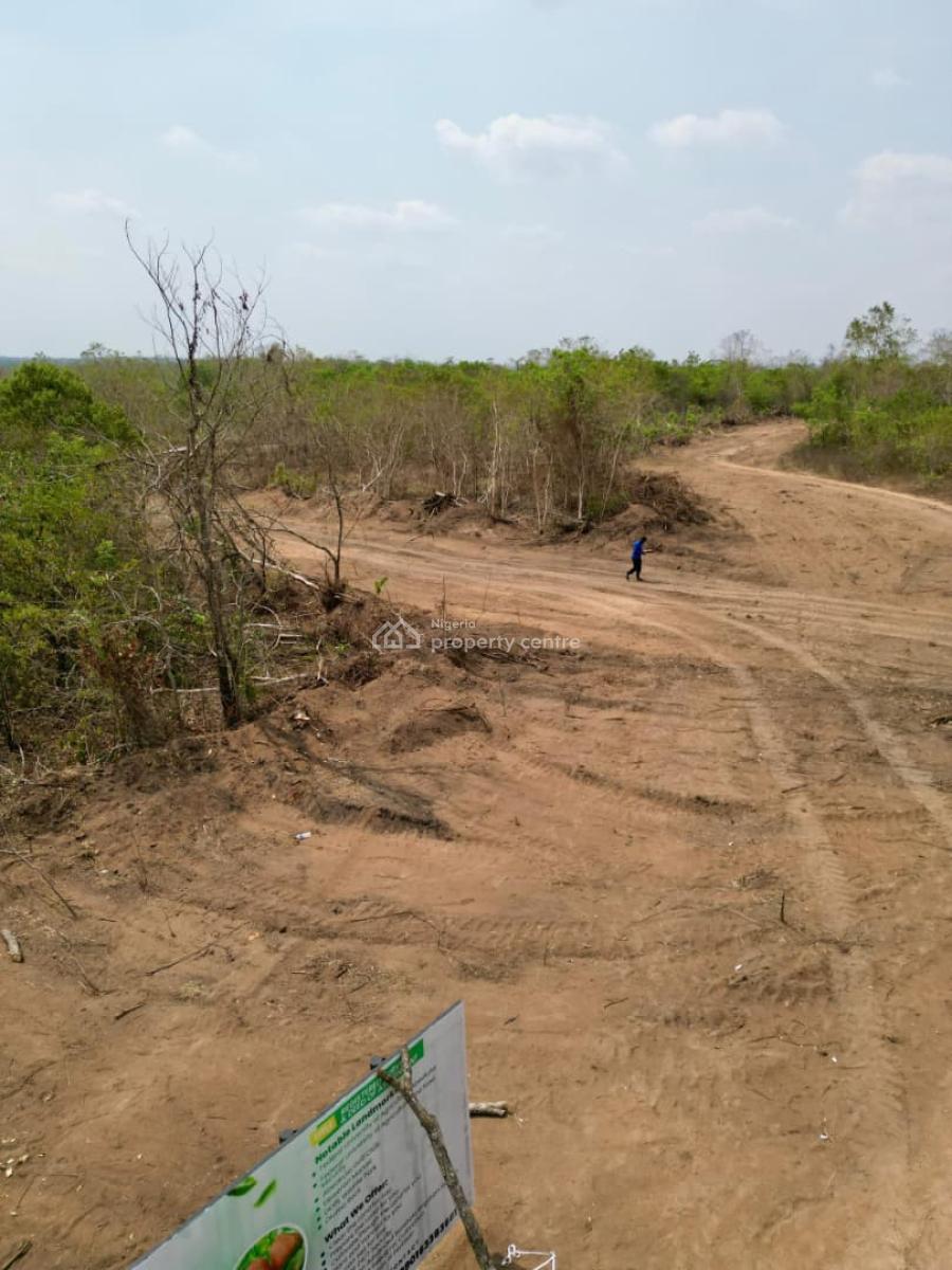 Own Your Farm Land and Earn From It, Funaab, Abeokuta, Odeda, Ogun, Land for Sale