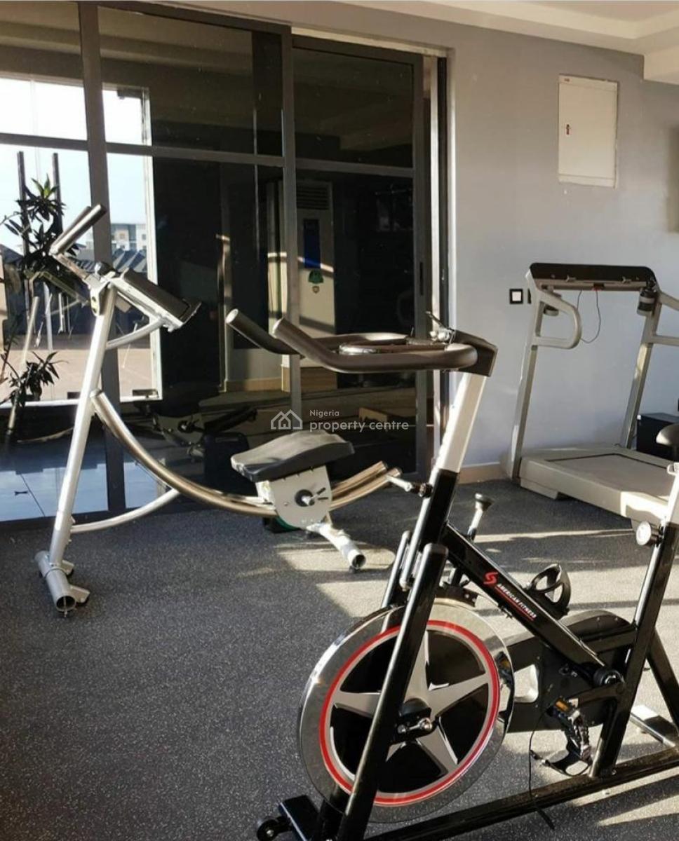 Fully Furnished and Serviced 2bedroom Apartment, Ikate, Lekki, Lagos, Flat / Apartment for Rent