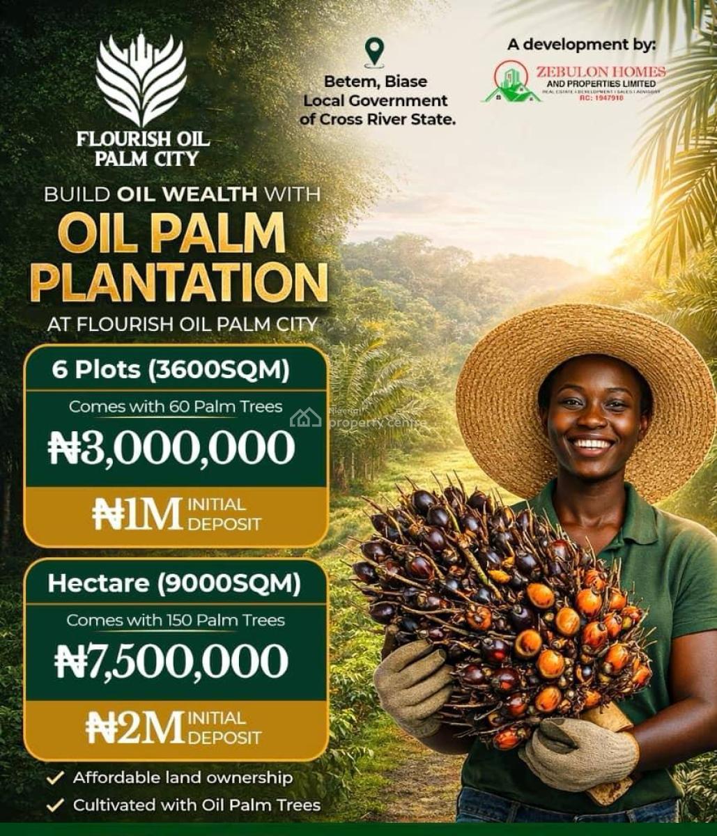 Oil Palm City with High Returns on Investment, Flourish Oil Palm City Located at Betem Biase Local Government, Biase, Cross River, Commercial Land for Sale