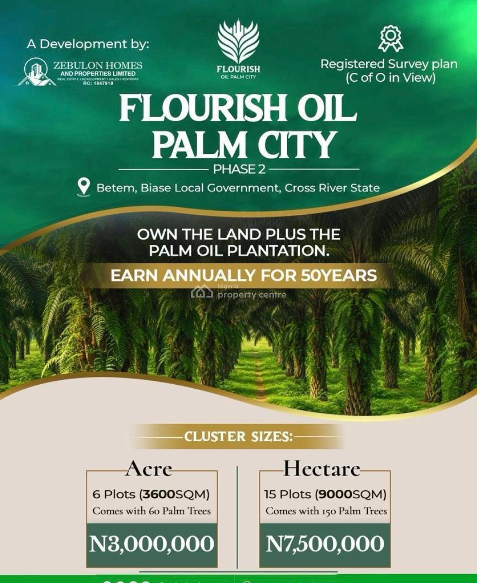 Oil Palm City with High Returns on Investment, Flourish Oil Palm City Located at Betem Biase Local Government, Biase, Cross River, Commercial Land for Sale