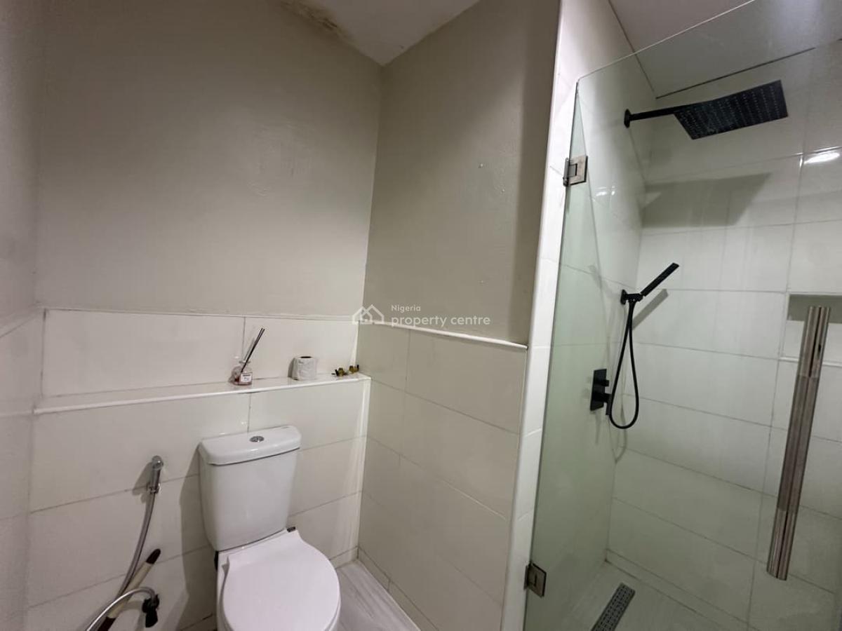 Nicely Furnished 2 Bedroom Apartment, Ikate, Lekki, Lagos, Flat / Apartment for Rent