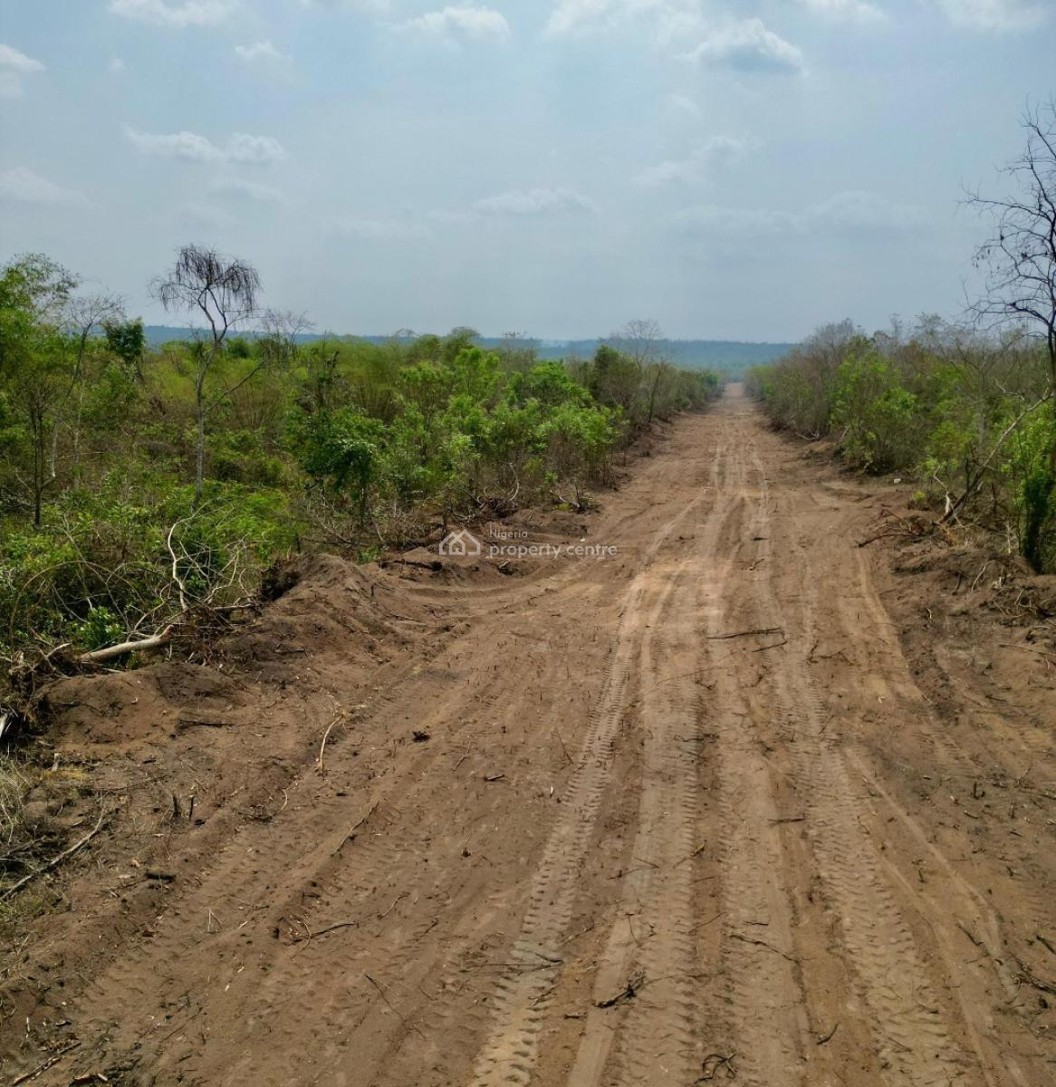 How to Build Sustainable Wealth with Managed Farmland in Nigeria 2026, Abeokuta North, Ogun, Mixed-use Land for Sale