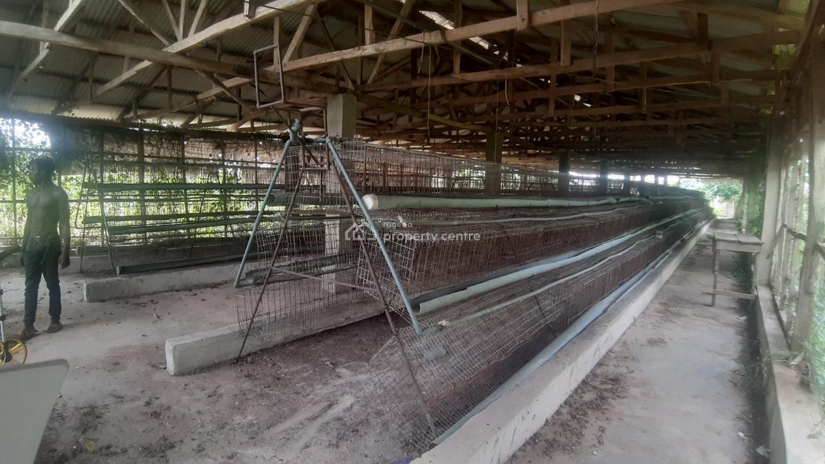 a Purpose-built Poultry Farm, Adafune Village, Oke Iganmu, Off Ilaro Road, Yewa South, Ogun, Commercial Property for Sale