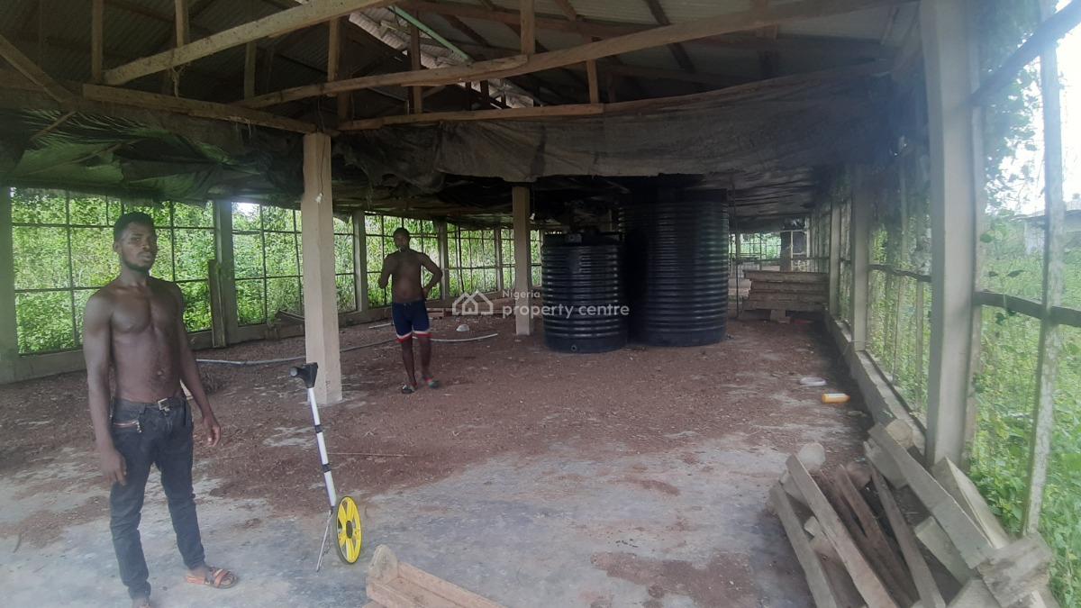 a Purpose-built Poultry Farm, Adafune Village, Oke Iganmu, Off Ilaro Road, Yewa South, Ogun, Commercial Property for Sale