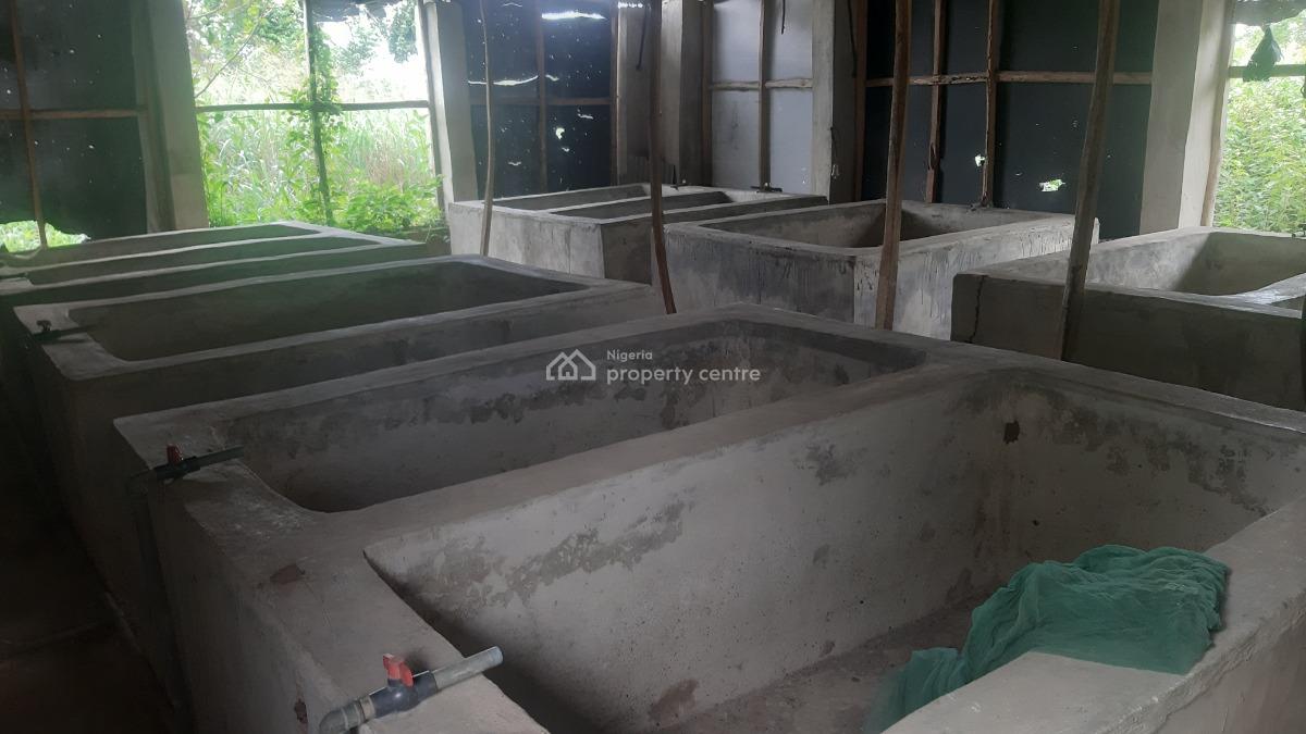 a Purpose-built Poultry Farm, Adafune Village, Oke Iganmu, Off Ilaro Road, Yewa South, Ogun, Commercial Property for Sale