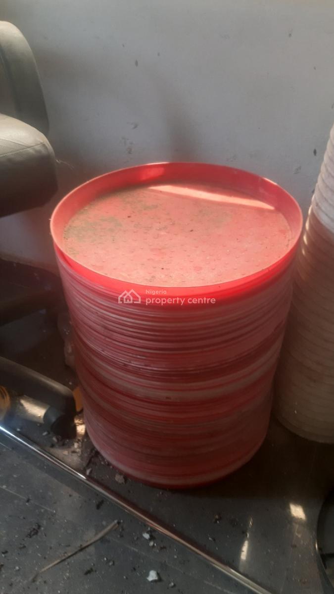 a Purpose-built Poultry Farm, Adafune Village, Oke Iganmu, Off Ilaro Road, Yewa South, Ogun, Commercial Property for Sale