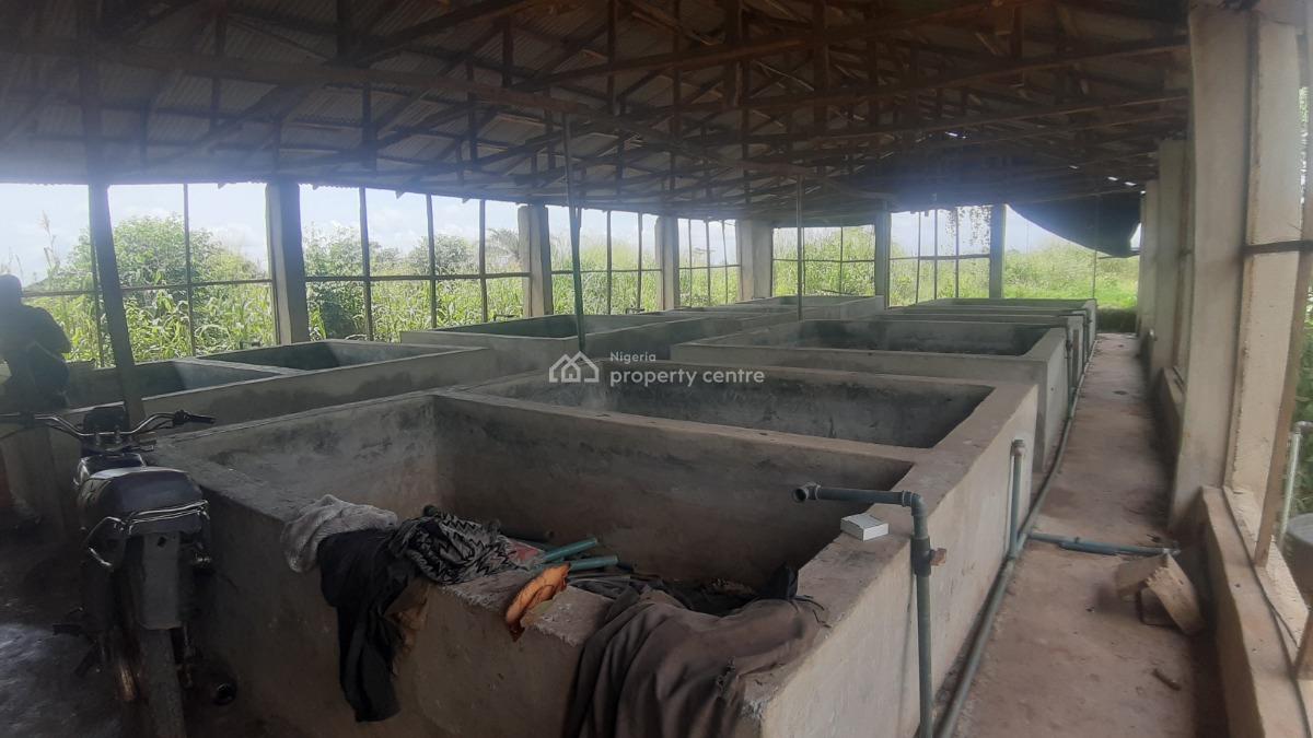 a Purpose-built Poultry Farm, Adafune Village, Oke Iganmu, Off Ilaro Road, Yewa South, Ogun, Commercial Property for Sale