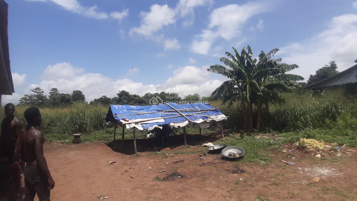 a Purpose-built Poultry Farm, Adafune Village, Oke Iganmu, Off Ilaro Road, Yewa South, Ogun, Commercial Property for Sale