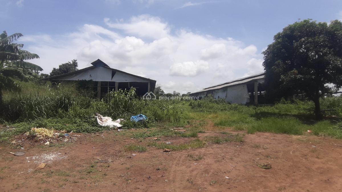 a Purpose-built Poultry Farm, Adafune Village, Oke Iganmu, Off Ilaro Road, Yewa South, Ogun, Commercial Property for Sale