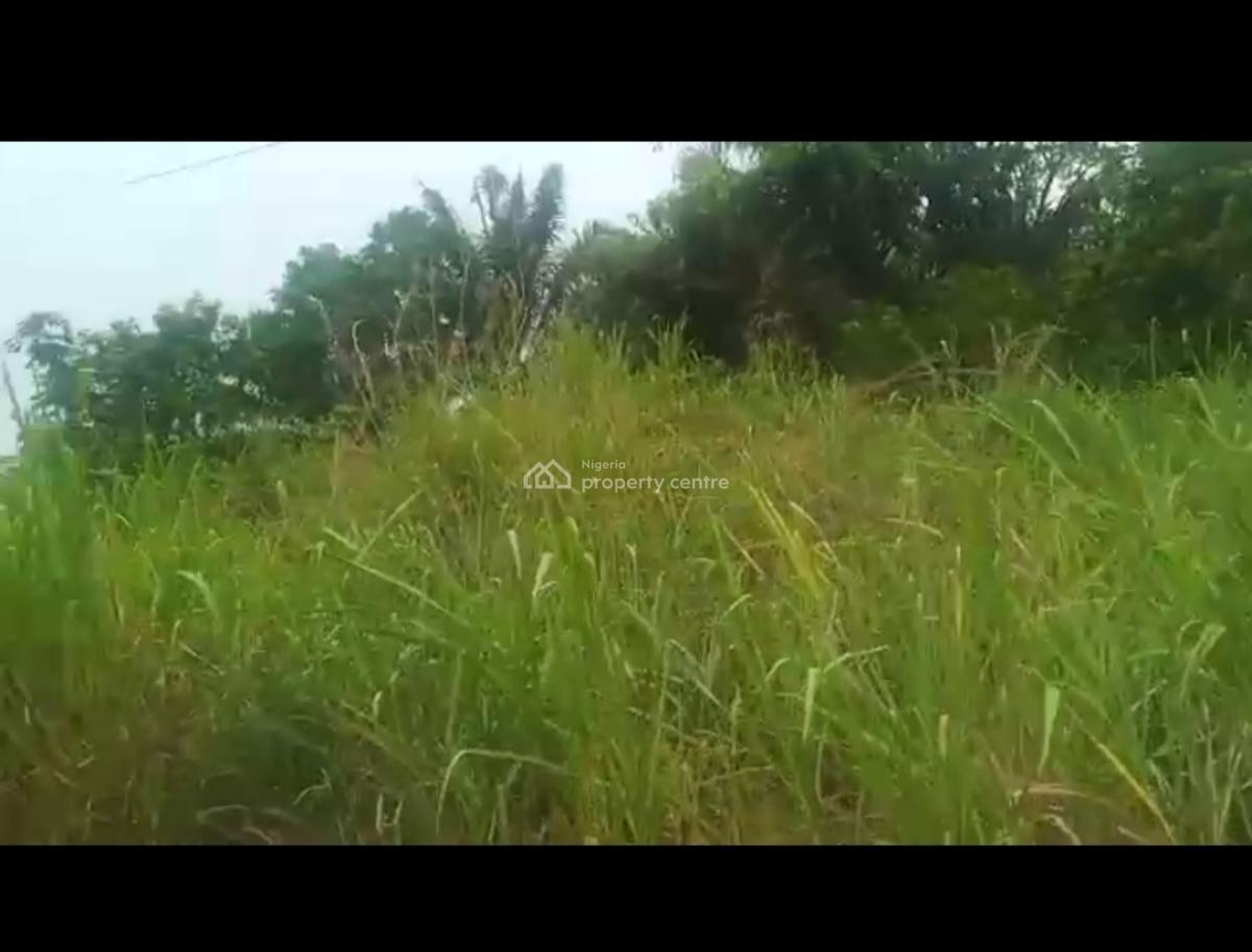 100ft X 200ft Alony Egba Express Road, Egba Community Express Road, Uhunmwonde, Edo, Commercial Land for Sale