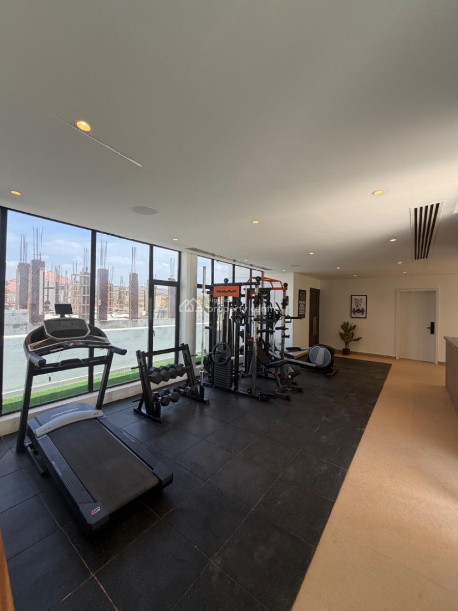 Newly Built Automated 5 Bedroom Terraced Duplex, Maitama, Maitama District, Abuja, Terraced Duplex for Rent